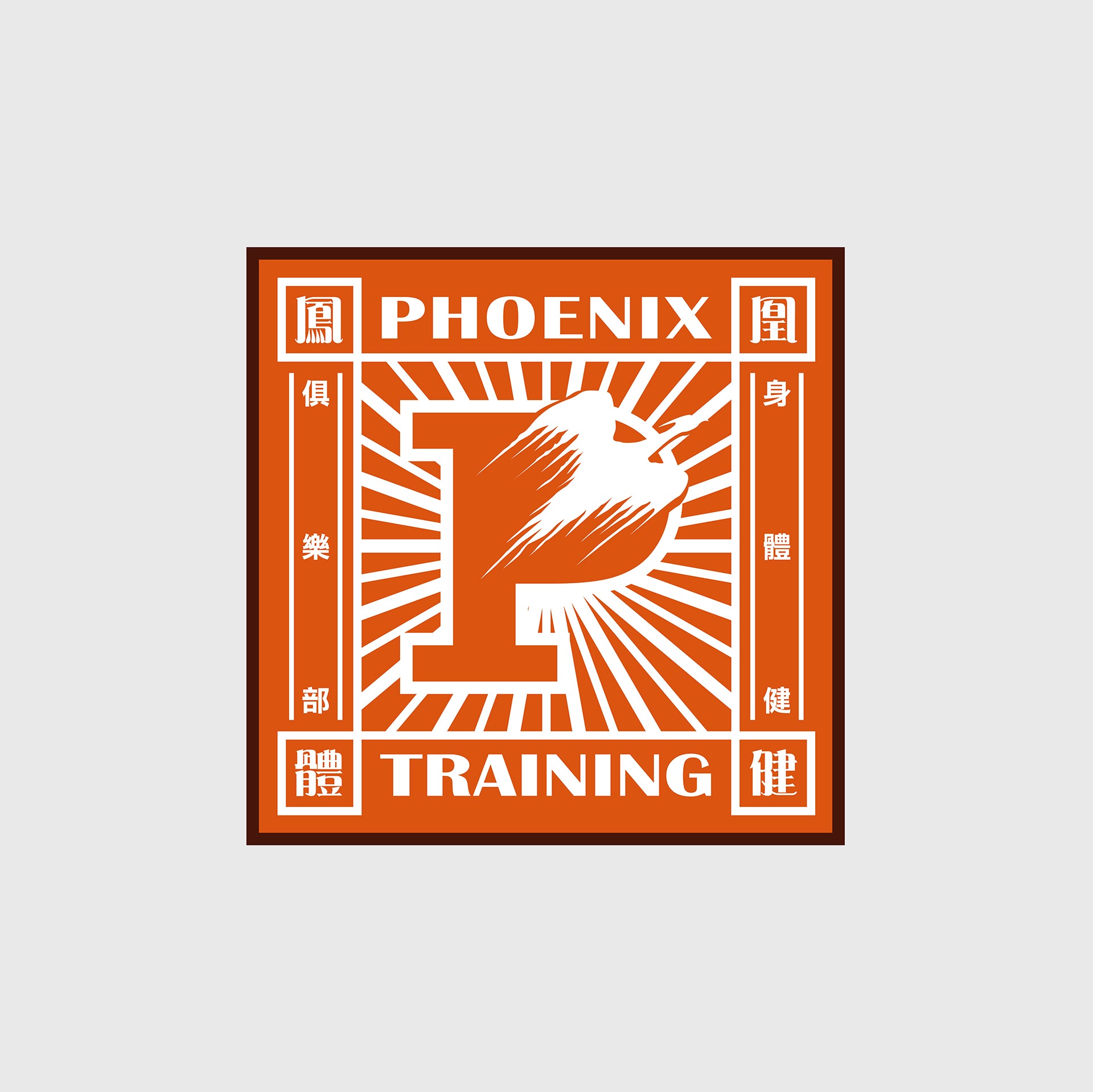 PHOENIX TRAINING 方形力量款